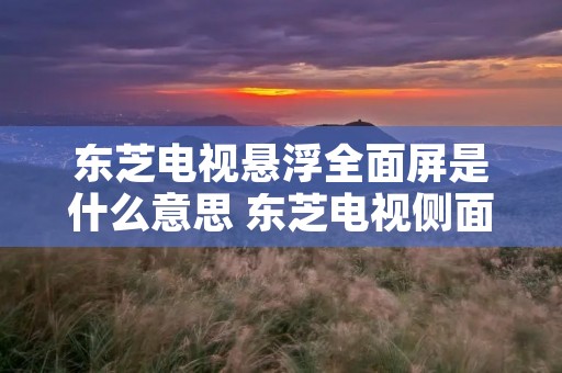 东芝电视悬浮全面屏是什么意思 东芝电视侧面按键功能