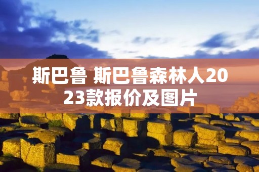 斯巴鲁 斯巴鲁森林人2023款报价及图片 斯巴鲁 斯巴鲁森林人2023款报价及图片