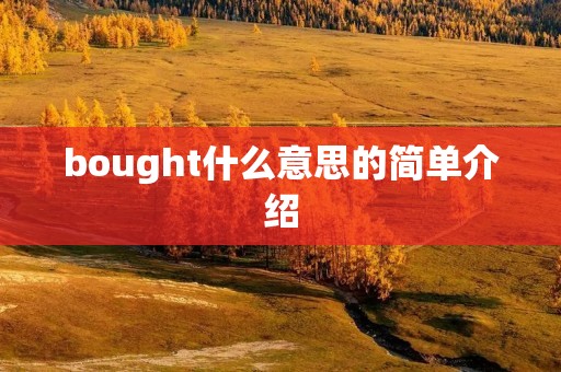 bought什么意思的简单介绍