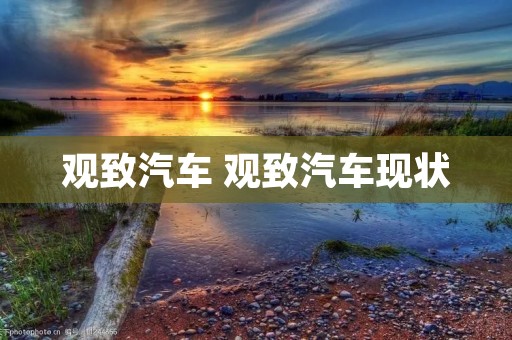观致汽车 观致汽车现状