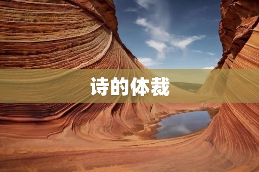 诗的体裁：从古典到现代，探究诗歌的多样性与魅力