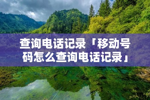 查询**记录「移动号码怎么查询**记录」