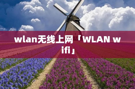wlan无线上网「WLAN wifi」