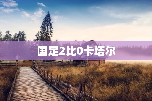 国足2比0卡塔尔:中国足球的胜利之光 国足2比0卡塔尔:中国足球的胜利之光