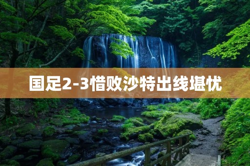 国足2-3惜败沙特出线堪忧 国足2-3惜败沙特出线堪忧
