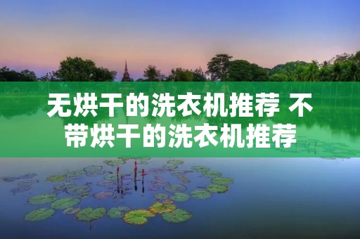 无烘干的洗衣机推荐 不带烘干的洗衣机推荐