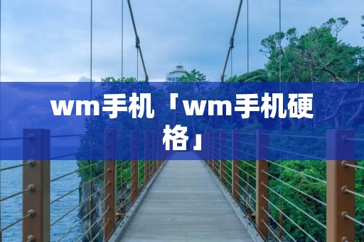 wm手机「wm手机硬格」 wm手机「wm手机硬格」