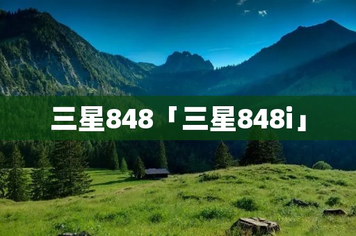 三星848「三星848i」