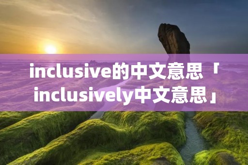 inclusive的中文意思「inclusively中文意思」