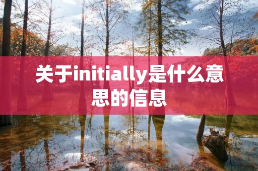 关于initially是什么意思的信息