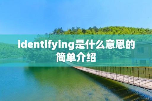 identifying是什么意思的简单介绍