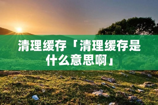 清理缓存「清理缓存是什么意思啊」