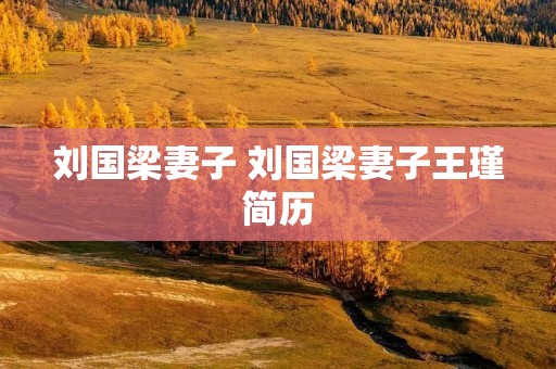 刘国梁妻子 刘国梁妻子王瑾简历 刘国梁妻子 刘国梁妻子王瑾简历