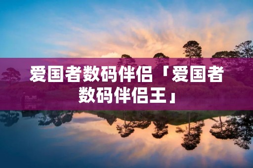 爱国者数码伴侣「爱国者数码伴侣王」