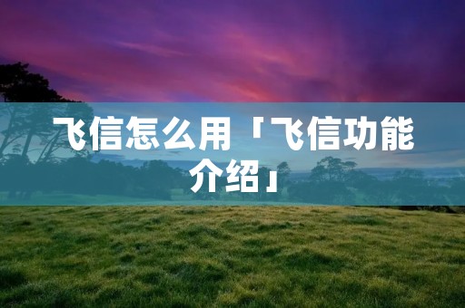 飞信怎么用「飞信功能介绍」