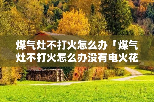 煤气灶不打火怎么办「煤气灶不打火怎么办没有电火花」