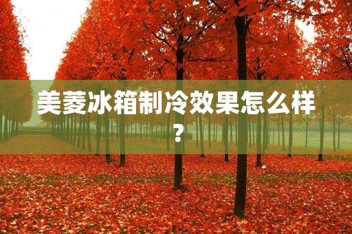 美菱冰箱制冷效果怎么样？