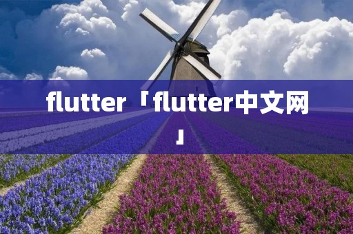 flutter「flutter中文网」