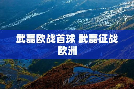 武磊欧战首球 武磊征战欧洲