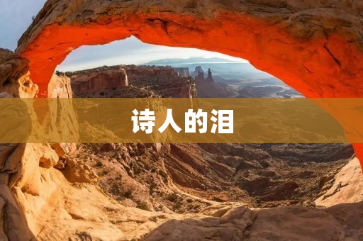 诗人的泪：探寻灵魂深处的情感之泉