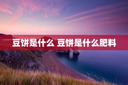 豆饼是什么 豆饼是什么肥料