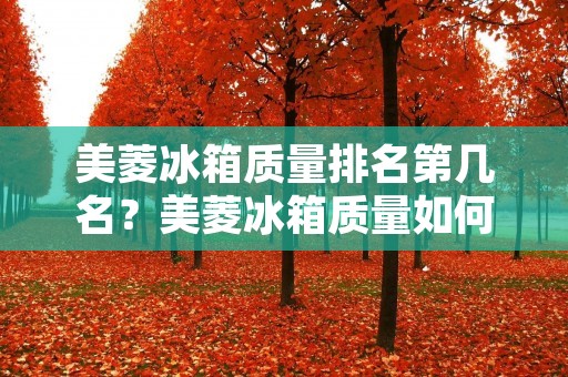 美菱冰箱质量排名第几名？美菱冰箱质量如何？