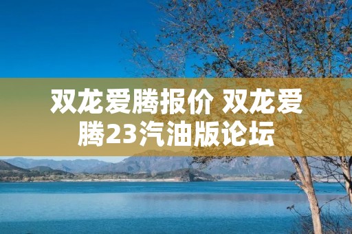 双龙爱腾报价 双龙爱腾23汽油版论坛