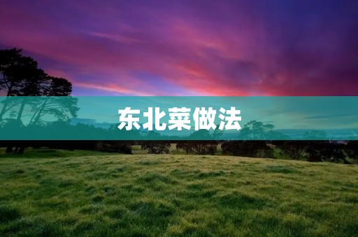 东北菜做法：传统美食的独特魅力