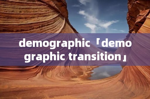 demographic「demographic transition」