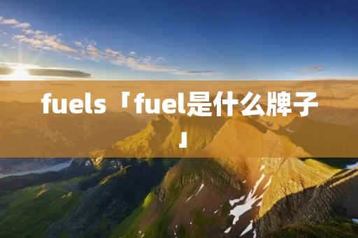 fuels「fuel是什么牌子」