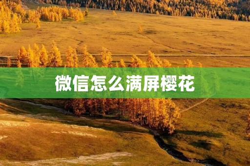 微信怎么满屏樱花