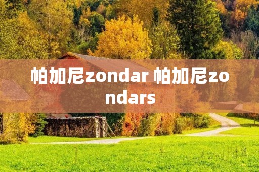 帕加尼zondar 帕加尼zondars