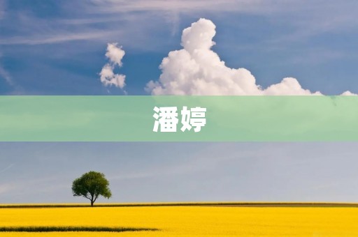 潘婷：诗坛的璀璨明珠
