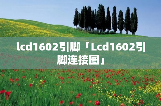 lcd1602引脚「Lcd1602引脚连接图」