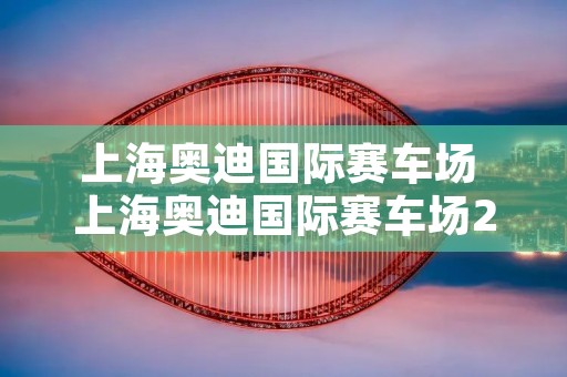 上海奥迪国际赛车场 上海奥迪国际赛车场2013赛车 上海奥迪国际赛车场 上海奥迪国际赛车场2013赛车