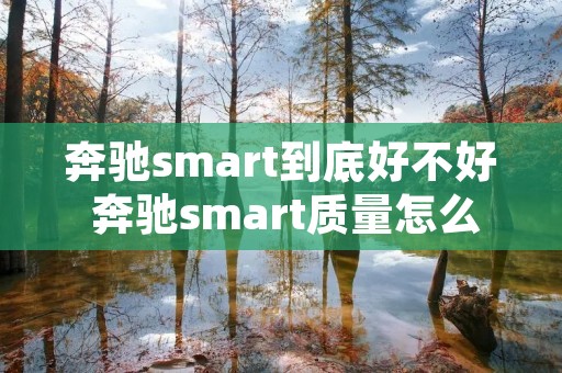 奔驰smart到底好不好 奔驰smart质量怎么样