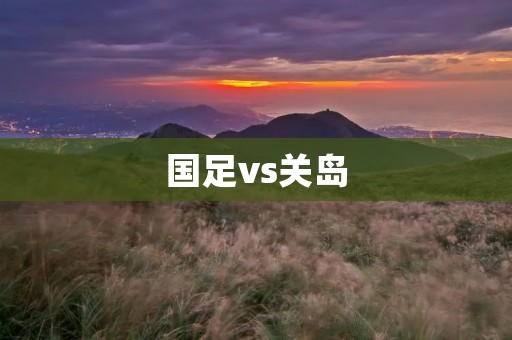 国足vs关岛:中国足球的胜利之路 国足vs关岛:中国足球的胜利之路