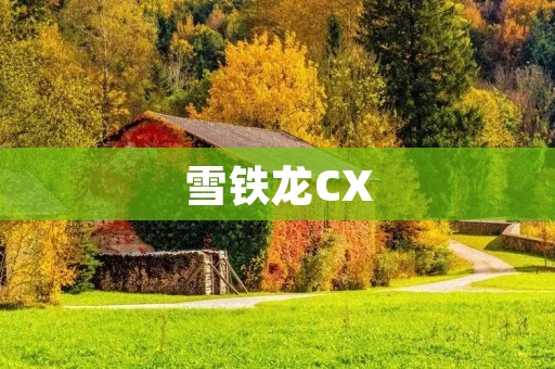 雪铁龙CX：一款兼具豪华与性能的全能座驾