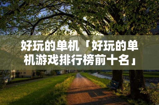 好玩的单机「好玩的单机游戏排行榜前十名」