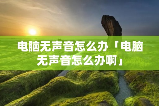 电脑无声音怎么办「电脑无声音怎么办啊」