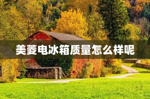 美菱电冰箱质量怎么样呢 美菱电冰箱质量怎么样呢