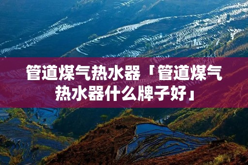 管道煤气热水器「管道煤气热水器什么牌子好」