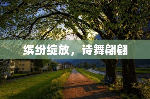 缤纷绽放,诗舞翩翩:用文字描绘绚丽多彩的舞蹈艺术