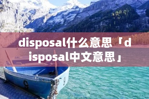 disposal什么意思「disposal中文意思」