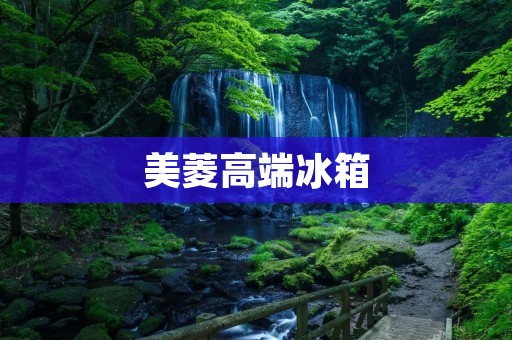 美菱高端冰箱:品质与科技的完美结合 美菱高端冰箱:品质与科技的完美结合