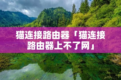猫连接路由器「猫连接路由器上不了网」 猫连接路由器「猫连接路由器上不了网」