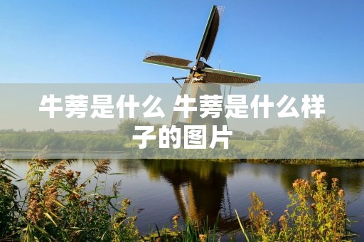 牛蒡是什么 牛蒡是什么样子的图片