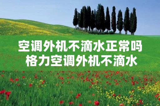 空调外机不滴水正常吗 格力空调外机不滴水正常吗 空调外机不滴水正常吗 格力空调外机不滴水正常吗