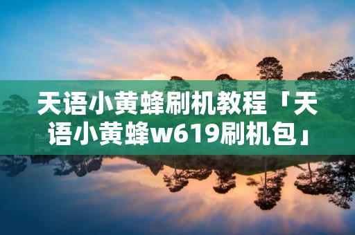 天语小黄蜂刷机教程「天语小黄蜂w619刷机包」 天语小黄蜂刷机教程「天语小黄蜂w619刷机包」