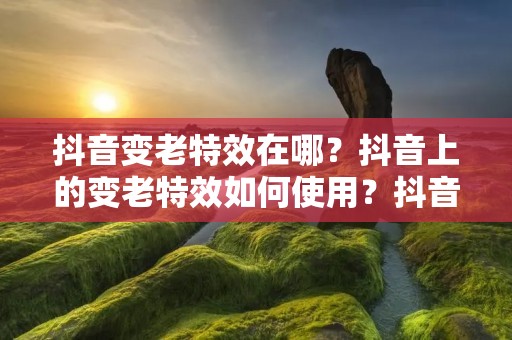 抖音变老特效在哪？抖音上的变老特效如何使用？抖音变老特效的效果怎么样？抖音变老特效有哪些值得尝试的技巧？下面为大家详细介绍。